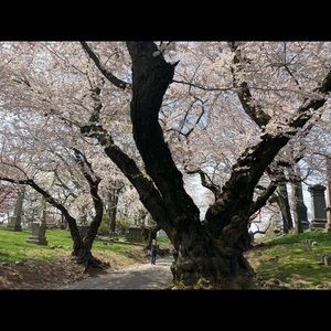 Meet your Posher, Jill